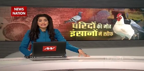 Bird Flu in India : परिदों की मौत, इंसानों में खौफ | Bird Flu Virus