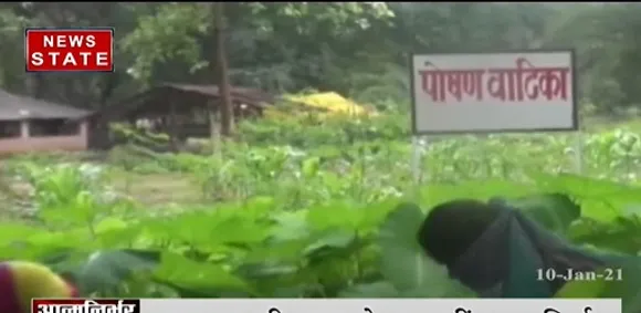 नक्सल प्रभावित इलाके दंतेवाड़ा में महिला बनता जा रहै रोजगार का हब | Dantewada News