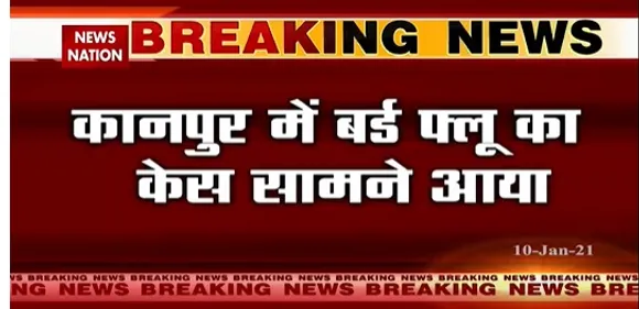 Bird Flu  : कानपुर में बर्ड फ्लू का केस सामने आया, 4 पक्षियों की मौत के बाद कानपुर चिड़ियाघर बंद