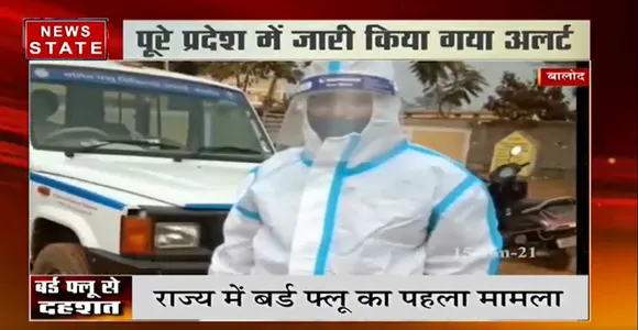 Bird Flu in Balod :  राज्य में बर्ड फ्लू का पहला मामला सामने आया | Bird Flu in India | News State