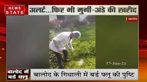 Bird Flu: बालोद में बर्ड फ्लू की पुष्टि, जिला प्रशासन ने जारी किया हाई अलर्ट