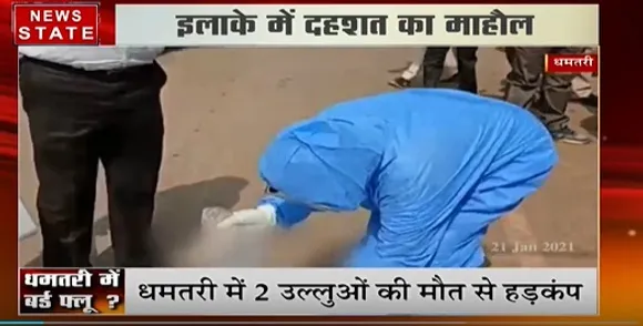 धमतरी में 2 उल्लुओं की मौत से हड़कंप