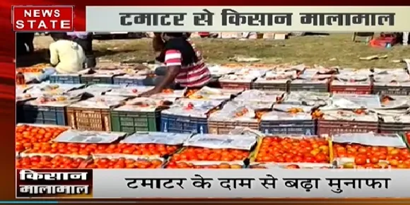 टमाटर से किसान मालामाल, प्रशासन की पहल से किसानों को हुआ फायदा | Latest News | News State MP CG