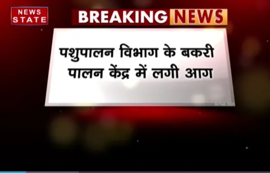 Breaking News : पशुपालन विभाग के बकरी पालन केंद्र में लगी आग, जेतपुरा गांव की घटना