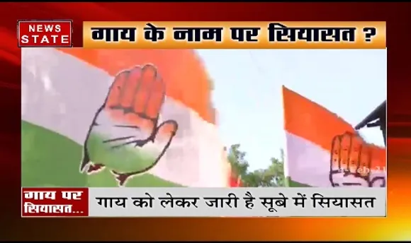 MP News : गौमूत्र के नाम पर घपला करेगी सरकार- कांग्रेस | Latest News | News State MP CG