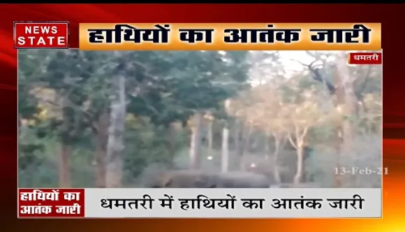 Dhamtari News : धमतरी में हाथियों का आतंक जारी, घर और फसलों को पहुंचा रहे नुकसान | News State MP CG