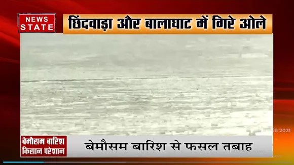 बेमौसम बरसात से बढ़ी किसानों की चिंता, फसल हुआ बर्बाद