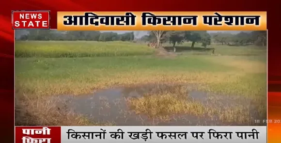 Panna News : पन्ना में किसानों की खड़ी फसल पर फिरा पानी, कलेक्टर ने नहर मरम्मत के दिए निर्देश