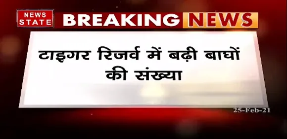 Breaking News :टाइगर रिजर्व में बढ़ी बाघों की संख्या, बाघिन पी-234 ने दिया शावकों को जन्म