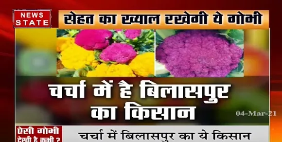 चर्चा में बिलासपुर का ये किसान, सेहत का ख्याल रखेगी ये गोभी