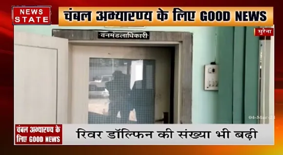 चंबल अभ्यारण्य के लिए गुड न्यूज , रिवर डॉल्फिन की संख्या में भी इजाफा | News State MP CG