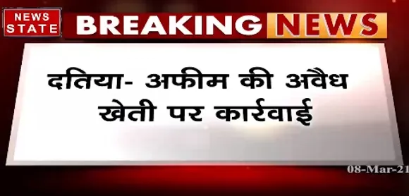 Breaking News : दतिया में अफीम की अवैध खेती पर कार्रवाई, सरसों के बीच में उगाई थी 5  बीघा में अफीम