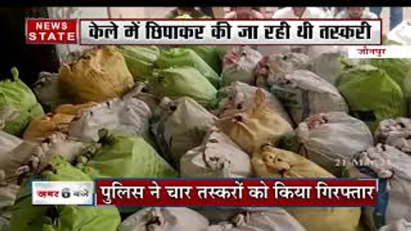 केले में छिपाकर की जा रही थी तस्करी, देखें रिपोर्ट