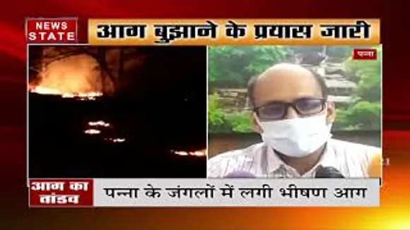 पन्ना के जंगलों में लगी भीषण आग