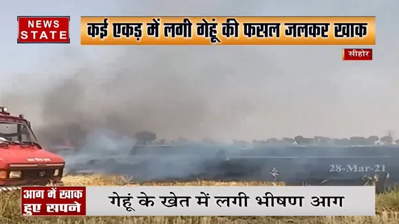 एमपी: गेहूं के खेत में लगी भीषण आग, सारी फसल जलकर खाक