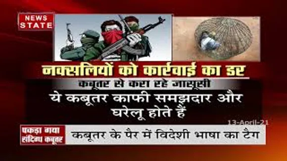 नक्सली कबूतर से करा रहे हैं जासूसी