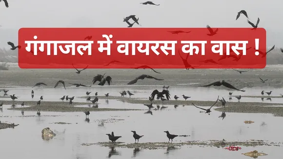 Covid19: गंगा में तैरती लाशों ने बढ़ाया संक्रमण का संकट