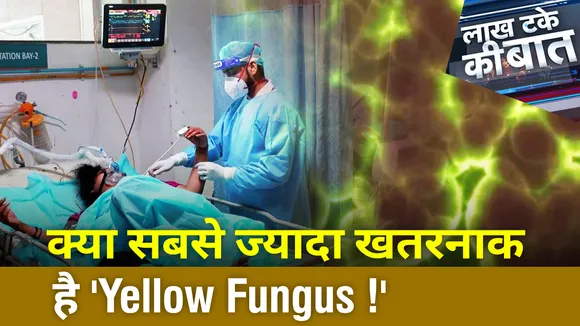 क्या सबसे ज्यादा खतरनाक है 'Yellow Fungus !'