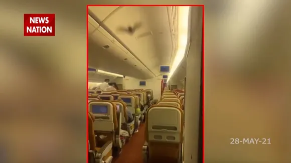 चमगादड़ ने कैसे प्लेन को करा दिया लैंड, देखें Video