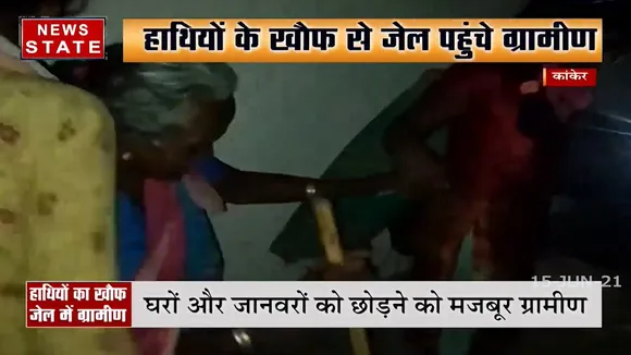 Madhya Pradesh: कांकेर में हाथियों का तांडव, हर जगह मचा है बवाल