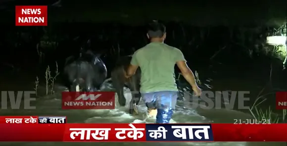 भारत बांग्लादेश बॉर्डर पर गौतस्करी की ग्राउंड रिपोर्ट