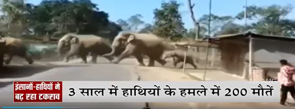 Chhattisgarh में इंसानो-हाथियों में टकराव के मामलें बढ़ते ही जा रहे है , देखें रिपोर्ट