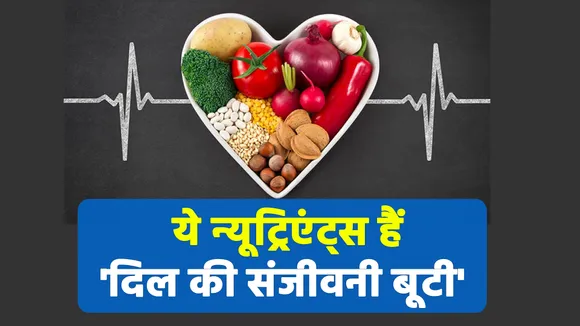 इन 5 न्यूट्रिएंट्स में छुपा है आपके दिल की सेहत का राज़, रोज़ाना खाएं