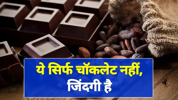 डार्क चॉकलेट के अजब-गजब फायदे, सुनकर रह जाएंगे दंग |dark chocolate|