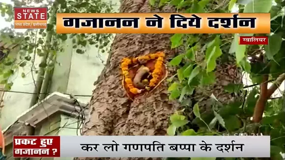 Gwalior News  : पेड़ पर गजानन के दर्शन