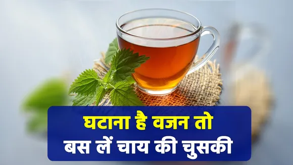 चाय की चुस्की लेकर करें वेट लॉस | benefits of tea|
