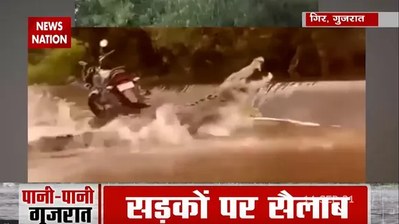 Gujarat Flood Rain के कोहराम से लोग बेहाल