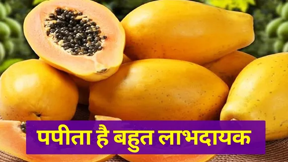 पपीते को कम न समझें, इसमें हैं बड़े-बड़े गुण