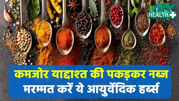 अल्जाइमर और मेमोरी लॉस की करे छुट्टी, इन आयुर्वेदिक हर्ब्स से भरी बंद मुट्ठी