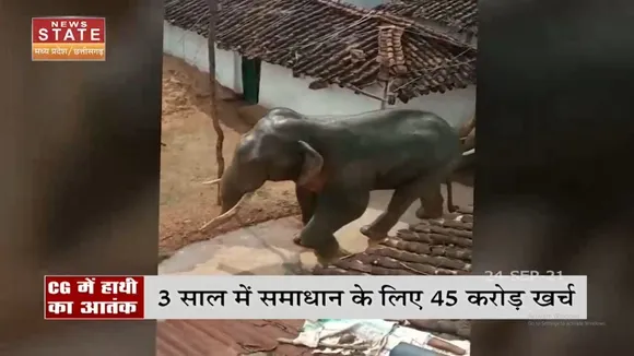 Chhatisgarh के कई जिलों में हाथियों का आतंक