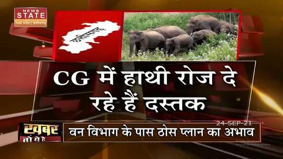 Chhatisgarh में हाथियों के उत्पात से गांव में दहशत