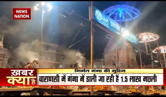 प्रदूषण पर लगाम लगाने में मछलियां होगी कारगर साबित , जानिए कैसे !