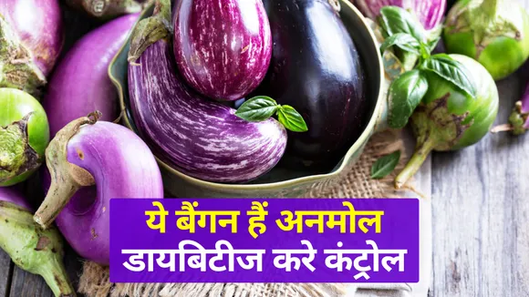 डायबिटीज कंट्रोल कर भरे शरीर दम, फायदों से भरपूर ये बैंगन| Brinjal Benefits