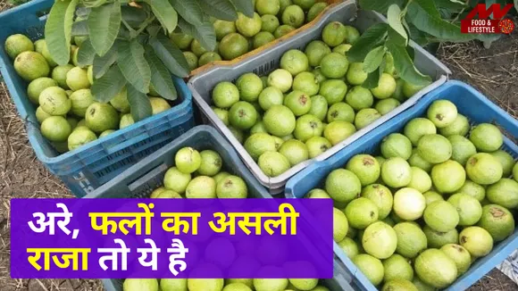 अमरूद के ये फायदे नहीं पता होगा आपको, जानकर हो जाएंगे हैरान