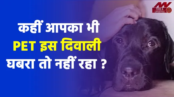 इस दिवाली अपने पालतू जानवर को न बनाएं बेहरा, ऐसे करें उनकी देखभाल