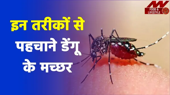 Health Tips: कहीं आप भी तो डेंगू के मच्छरों से नहीं घिरे, जल्द करें इसका पता