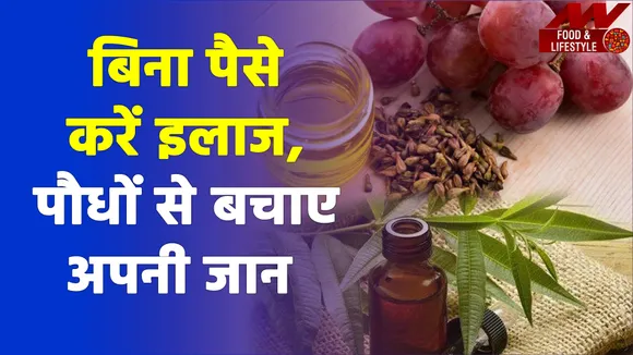 कभी बीमार नहीं होने देंगे ये 5 चमत्कारी पौधे, जल्द लगाएं घर में