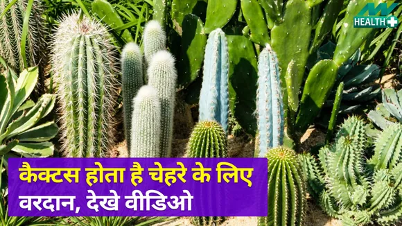 चेहरे पर निखार लाने के लिए इस्तेमाल करें कैक्टस का पौधा, नहीं सुने होंगे ऐसे फायदे