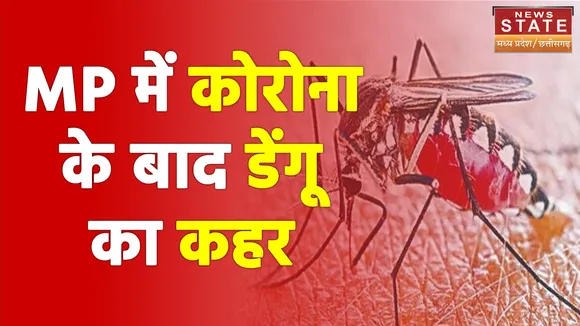 MP में कोरोना के बाद डेंगू का कहर, हार्ईकोर्ट ने जताई चिंता
