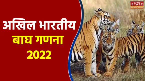 अखिल भारतीय बाघ गणना 2022 के तहत बालाघाट में बाघों की गणना शुरू, देखे रिपोर्ट