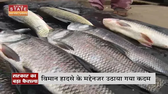 Bhopal Airport के पास से हटाई जाएंगी मछली और मटन की दुकानें