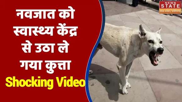 मृत नवजात को स्वास्थ्य केंद्र से उठा ले गया कुत्ता