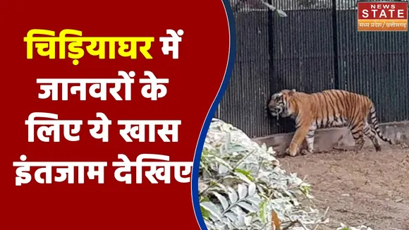 Indore के चिड़ियाघर में जानवरों को शीतलहर से बचाने के लिए किए गए खास इंतजाम