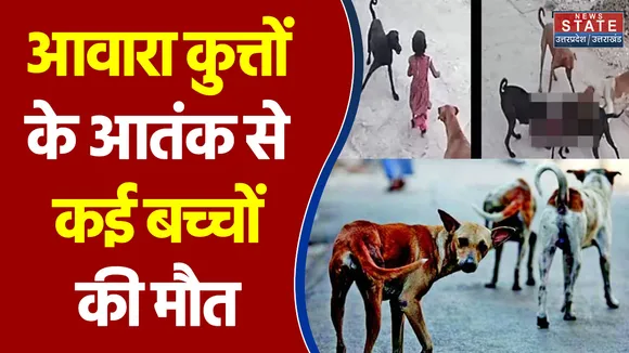Madhya Pradesh में आवारा कुत्तों के आतंक से कई बच्चों की मौत...देखिए ये रिपोर्ट