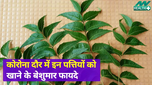 नीम के पत्ते खाने के इन फायदों से आप है अनजान, जल्दी जान लें श्रीमान |Benefits Of Neem