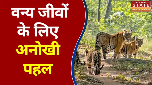 Madhya Pradesh वन विभाग की वन्यजीवों के लिए अनोखी पहल, देखें वीडियो